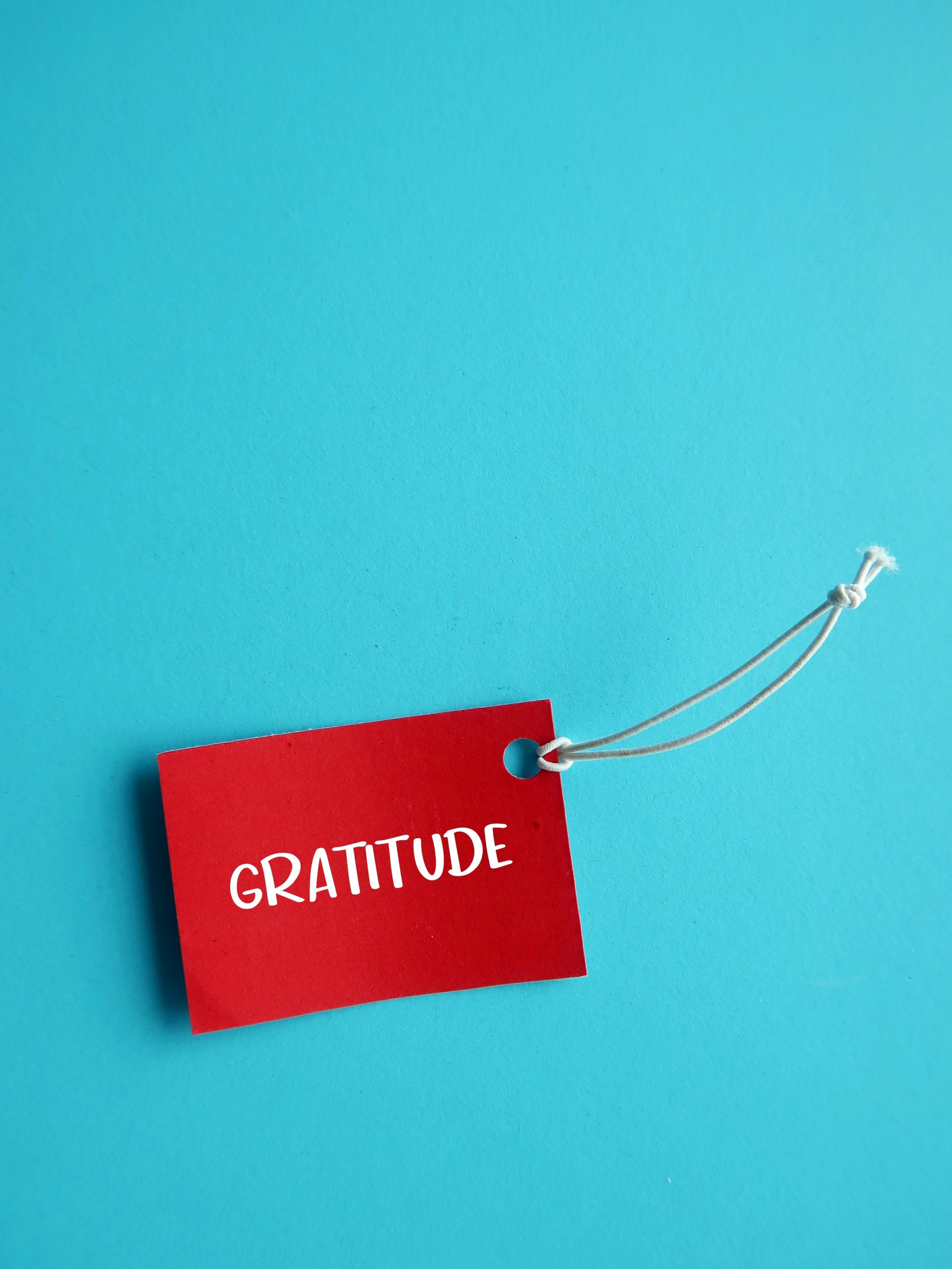 Gratitude